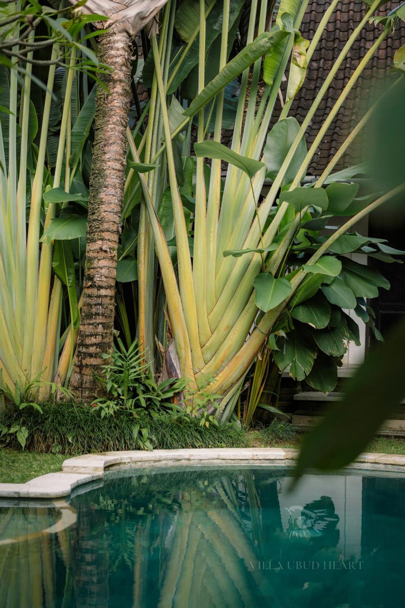 Villa Ubud Heart Extérieur photo